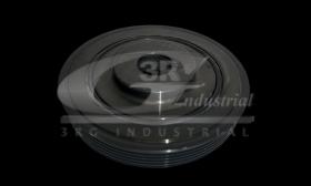 3RG 10211 - POLEA CIGUEÑAL