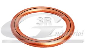 3RG 80020 - JUNTA TAPON CARTER