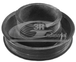 3RG 10314 - POLEA CIGUENAL