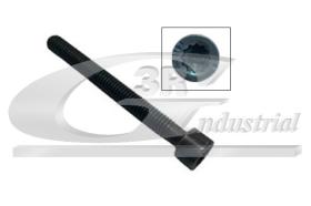 3RG 99703 - TORNILLO INYECTOR